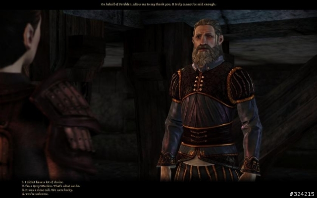 [DAO=Dragon age :origin]Nightmare 女精靈盜賊 通關心得 含劇透 愼入