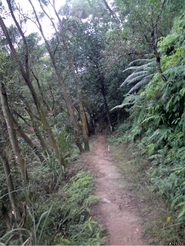 (已補圖)中和圓通寺新店彩蝶社區越嶺輕度offroad 路線介紹