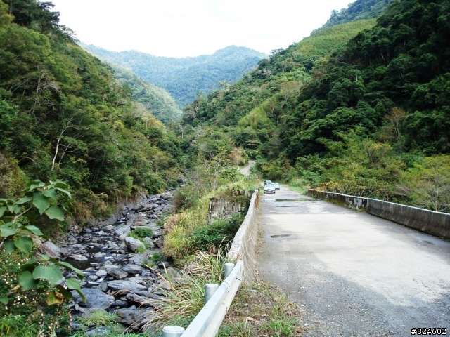 [遊記] 司馬庫斯全攻略 - 新光、鎮西堡、司馬庫斯之路16K去回、司馬庫斯神木群步道