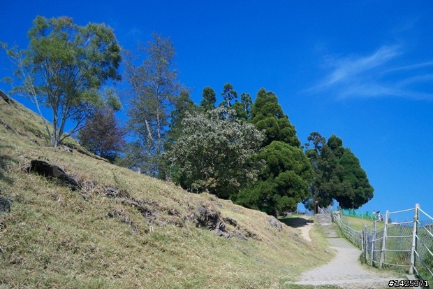 秋末雙載爬山從東海到清境農場一日遊