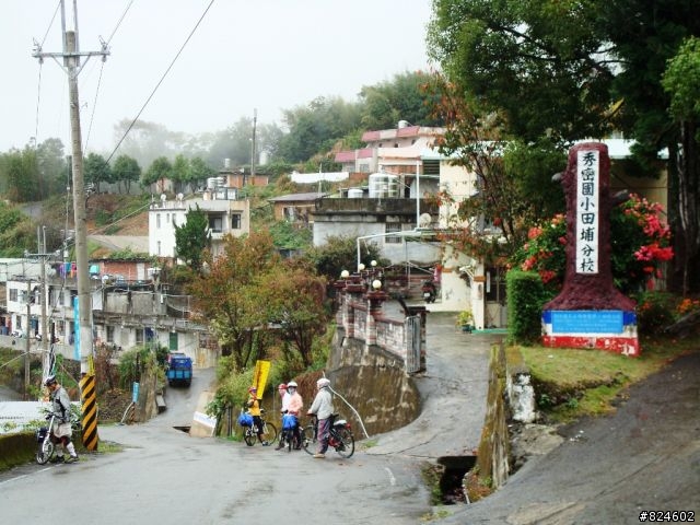 [遊記] 司馬庫斯全攻略 - 新光、鎮西堡、司馬庫斯之路16K去回、司馬庫斯神木群步道