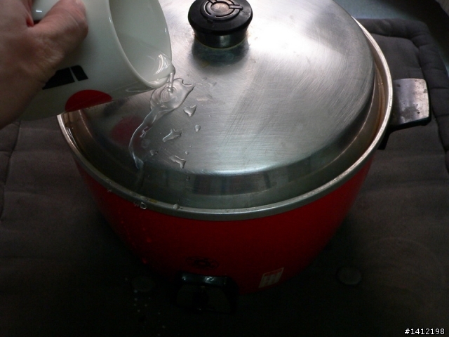[懶人料理] 瓜子雞湯