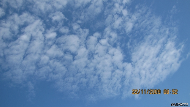 (蓋大樓!!!)Canon PowerShot SX20 IS