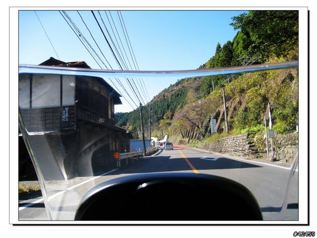 [NEW MAJESTY] 奧多摩周遊道路賞楓