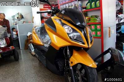 NIKITA 300 金棕 開箱