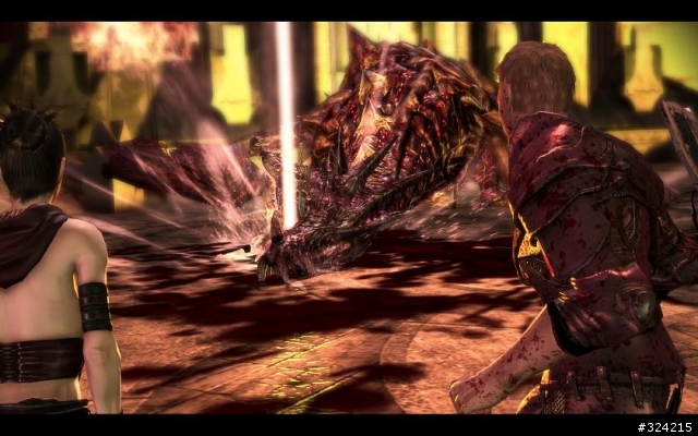 [DAO=Dragon age :origin]Nightmare 女精靈盜賊 通關心得 含劇透 愼入