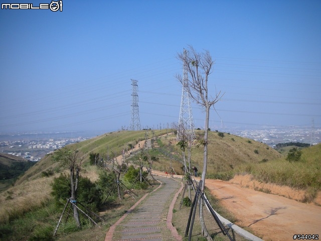 [單車森林offroad]下坡賽, 大會報告!
