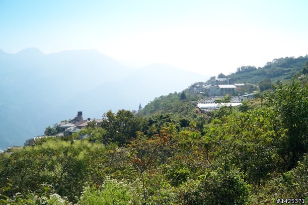 秋末雙載爬山從東海到清境農場一日遊