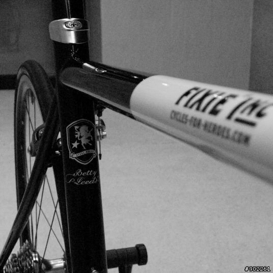 優雅的力量 - Fixie Inc. Betty Leeds