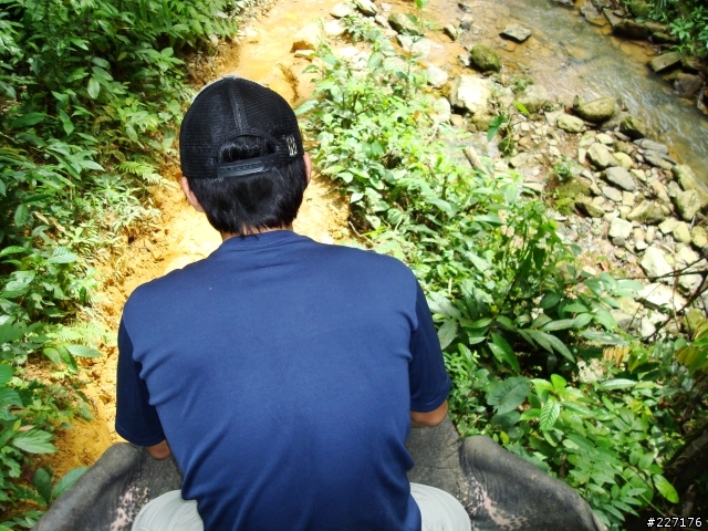 這樣也算offroad嗎?