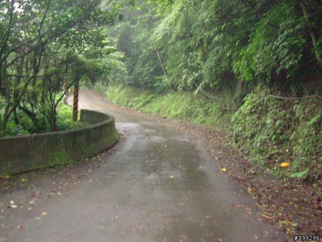 [圖非常多]體會2010年初貓空掠嶺自行車挑戰賽之阿柔洋完全記錄