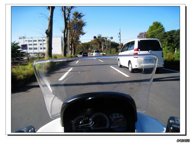 [NEW MAJESTY] 奧多摩周遊道路賞楓