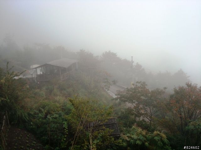 [遊記] 司馬庫斯全攻略 - 新光、鎮西堡、司馬庫斯之路16K去回、司馬庫斯神木群步道
