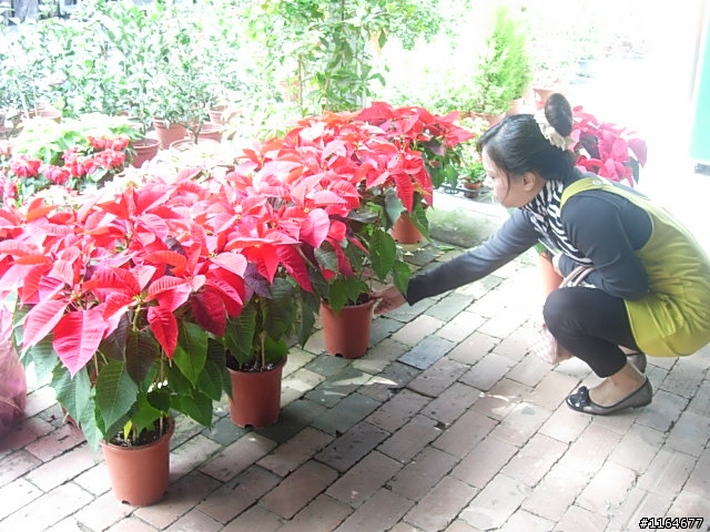 【團騎】2010/1/24(日),踏雪尋莓,卓蘭17號草堂