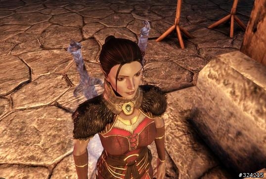 [DAO=Dragon age :origin]Nightmare 女精靈盜賊 通關心得 含劇透 愼入