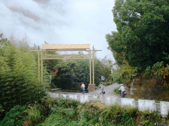 [遊記] 司馬庫斯全攻略 - 新光、鎮西堡、司馬庫斯之路16K去回、司馬庫斯神木群步道