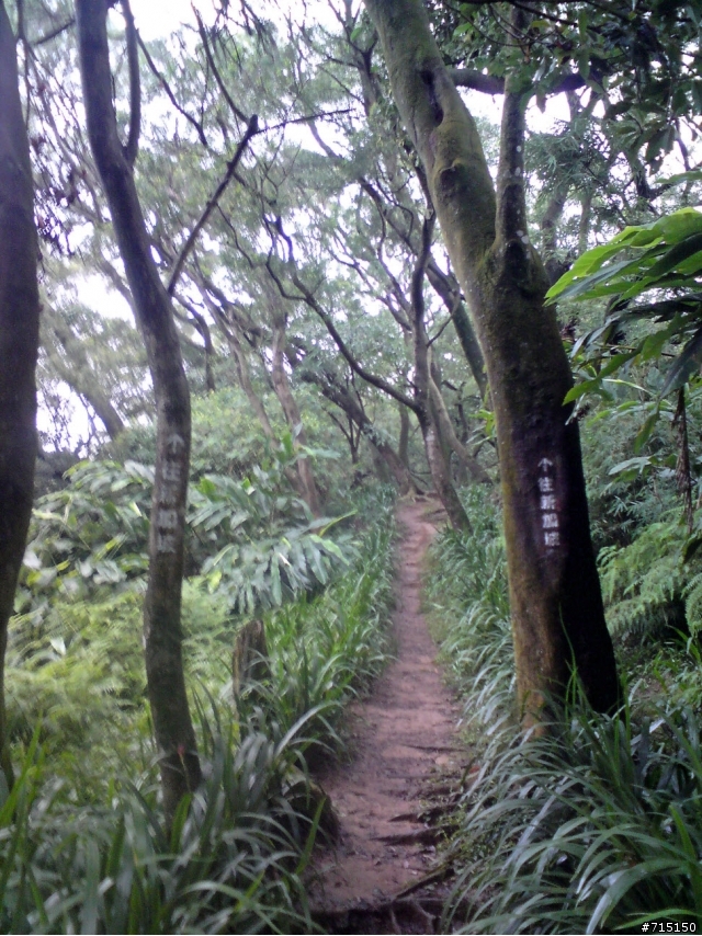 (已補圖)中和圓通寺新店彩蝶社區越嶺輕度offroad 路線介紹