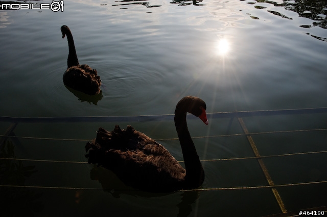 DxO Optics V6測試 (vs LR 1.4)