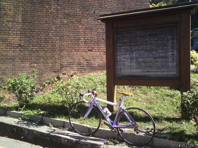 新手上路~Roxycle- Road Lavendar薰衣草跑車