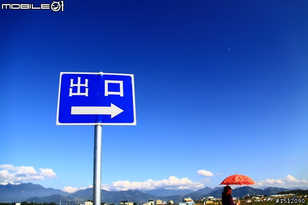 又是新社花海行