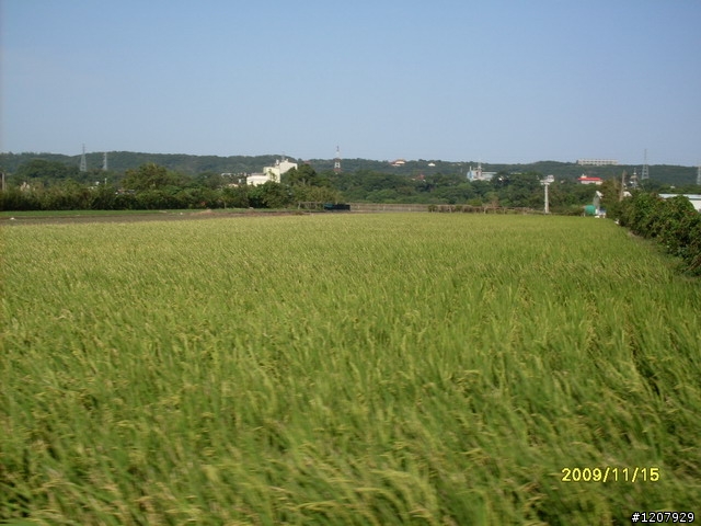 2009~11/14鶯歌之旅+和平老街吃了變超人哈哈哈:::::