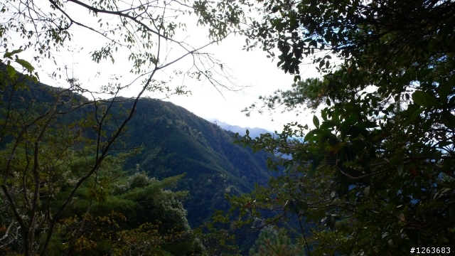 [分享] 不是騎腳踏車的爬山之旅---鳶嘴山+稍來山！