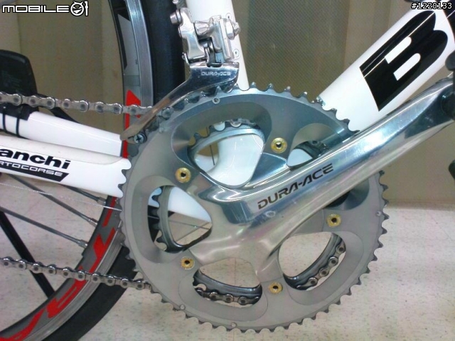 Bianchi 928 騎乘感 11/14陽金我來了