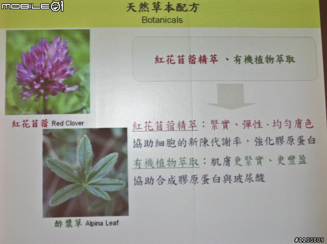 【採訪】使用42天就能年輕10歲?!伊麗莎白雅頓「8胜肽緊容霜／乳」