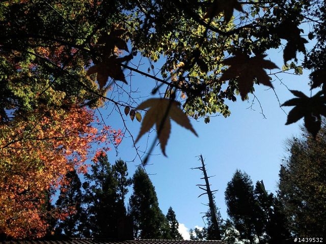 丹丹之老天超賞臉的首次清境+福壽山之旅