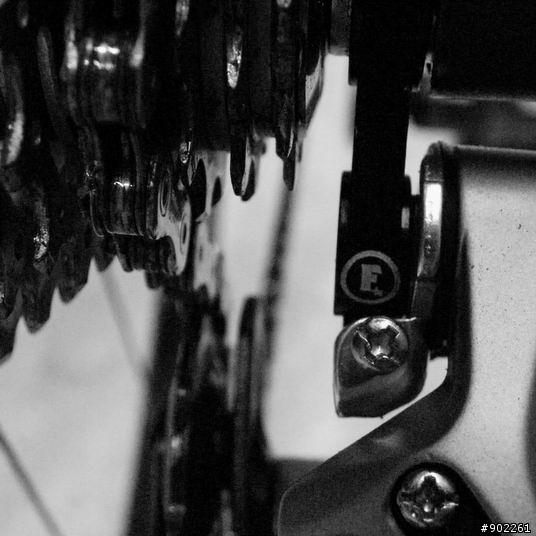 優雅的力量 - Fixie Inc. Betty Leeds