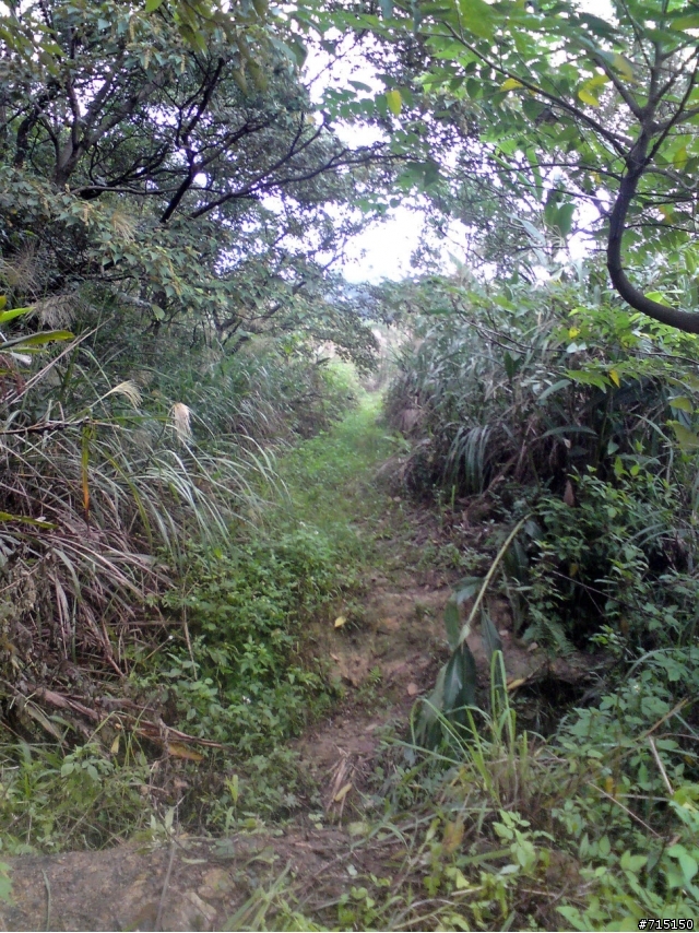 (已補圖)中和圓通寺新店彩蝶社區越嶺輕度offroad 路線介紹
