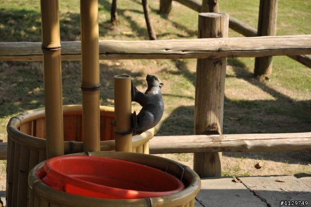 [分享]竹崎公園親子輕鬆騎照片!