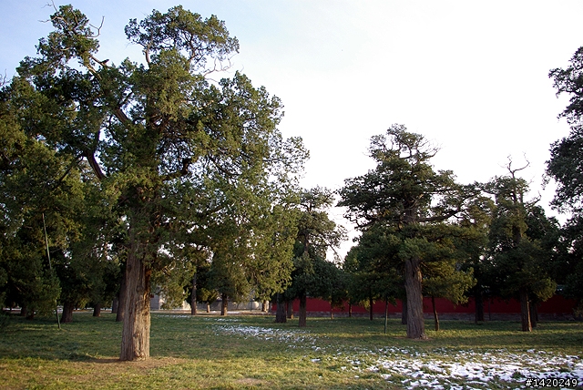 台灣客在北京之天壇公園行