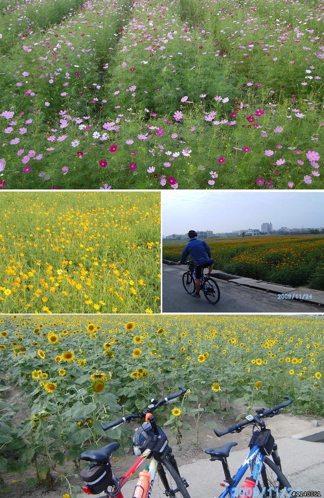 [路線]高雄→麟洛單車國道→竹田驛站→鹿寮公共洗衣場→泗水綠隧→大寮花海~休閒騎