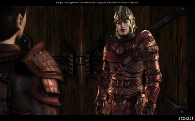 [DAO=Dragon age :origin]Nightmare 女精靈盜賊 通關心得 含劇透 愼入