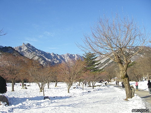 分享-韓國首爾自由行-上