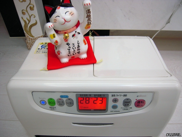 2009年 煤油電暖爐