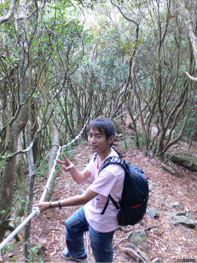 [分享] 不是騎腳踏車的爬山之旅---鳶嘴山+稍來山！