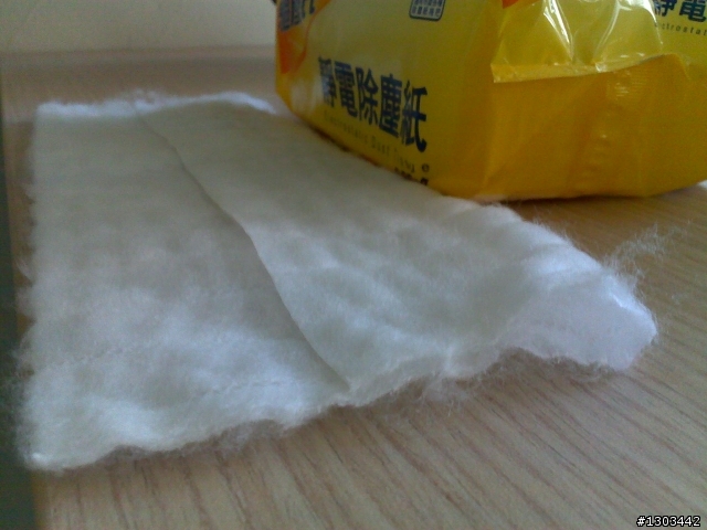 我的除塵紙長毛了....Orz