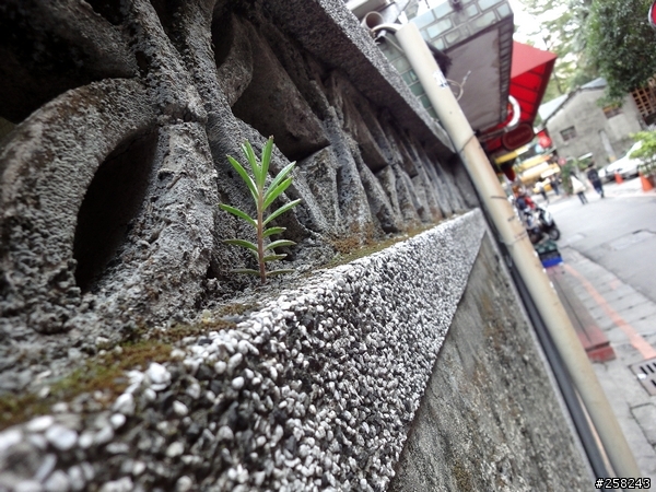 【分享】Sony WX1日拍snap~~~