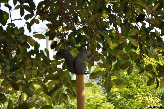 [分享]竹崎公園親子輕鬆騎照片!