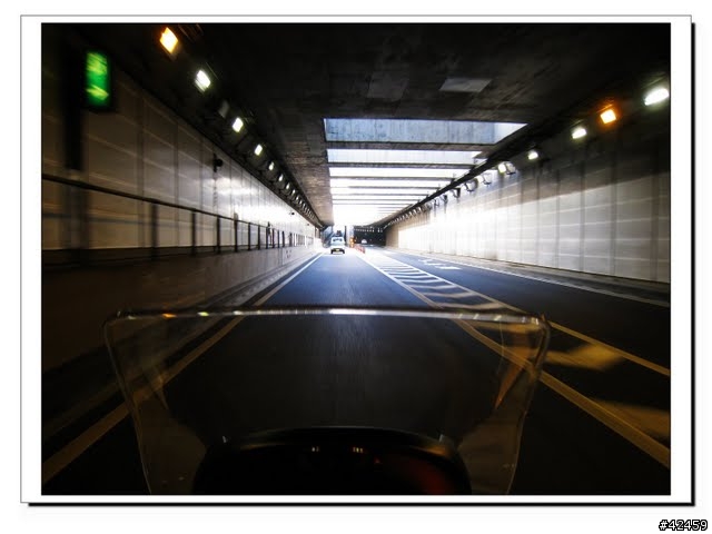 [NEW MAJESTY] 奧多摩周遊道路賞楓