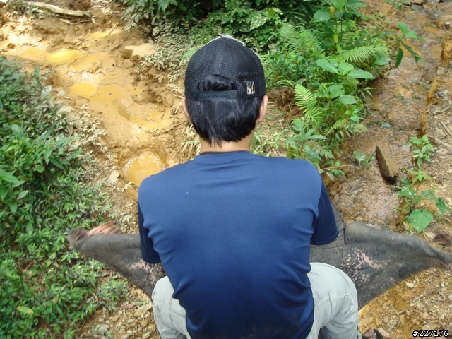 這樣也算offroad嗎?