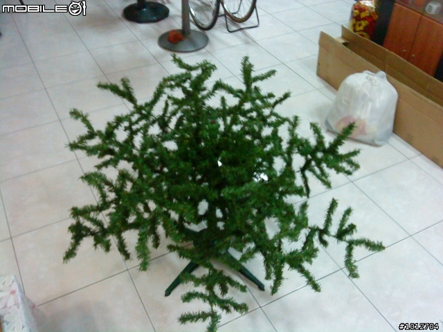 [開箱] 01首發~! 聖誕老樹開箱文 ..