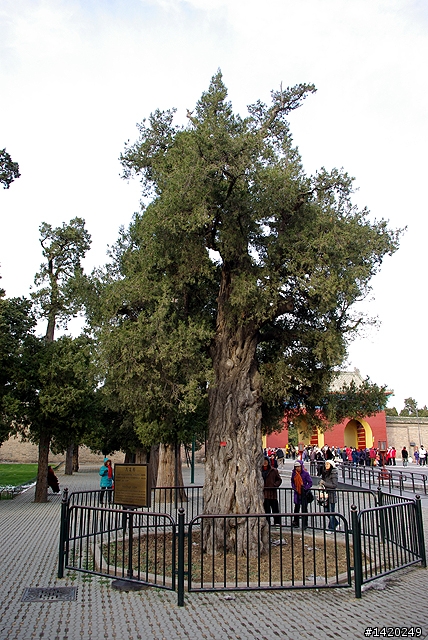台灣客在北京之天壇公園行