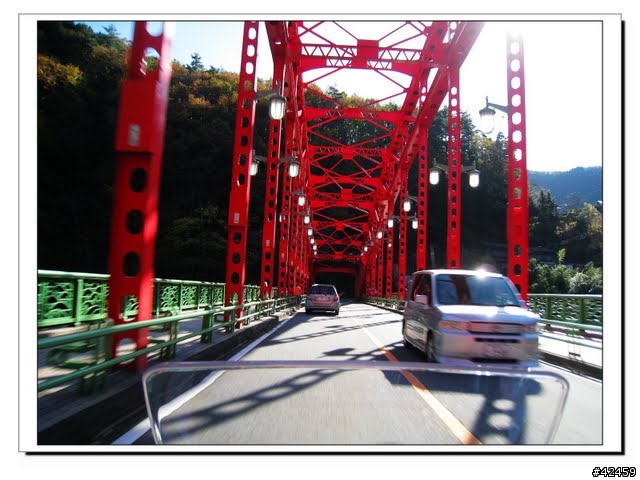 [NEW MAJESTY] 奧多摩周遊道路賞楓