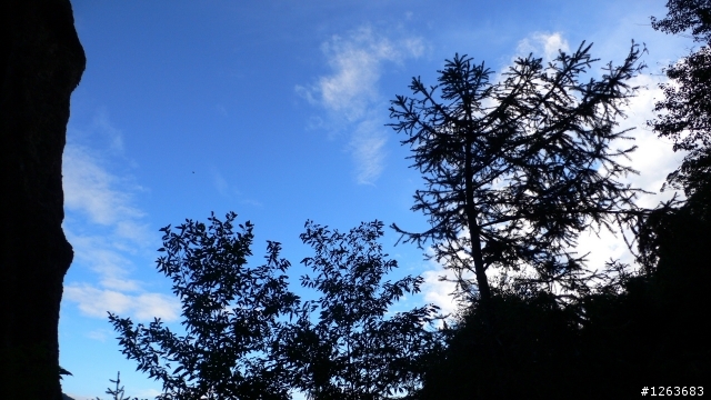 [分享] 不是騎腳踏車的爬山之旅---鳶嘴山+稍來山！