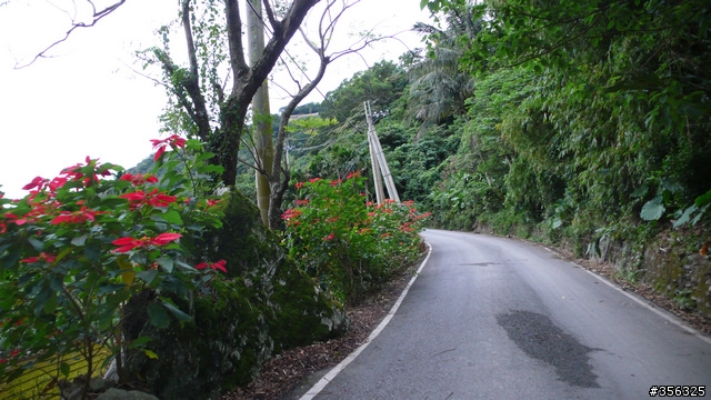 [遊記] 攻上太麻里山一等三角點, 期待曙光再起!!