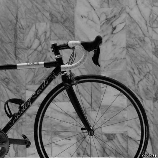 優雅的力量 - Fixie Inc. Betty Leeds