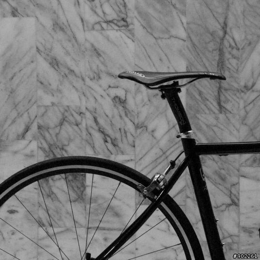 優雅的力量 - Fixie Inc. Betty Leeds